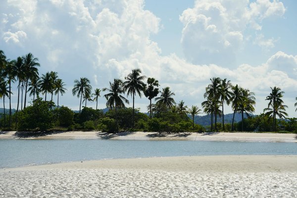 Faites du bénévolat en échange d'un camping économique
