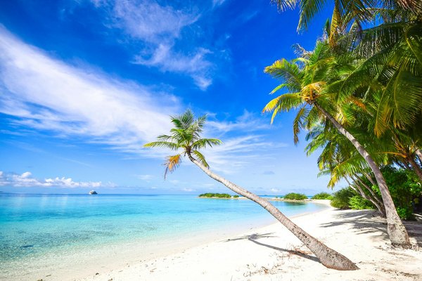 Guide complet des messes à versailles : horaires et lieux